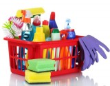 Mom and daughter cleaning service