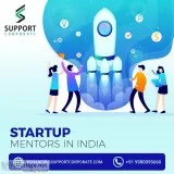 Startup Mentors in India