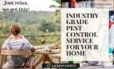 Pest Control NY - Free Visit