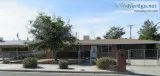 Cozy large 3Bedroom with new windowns and doors  high end applia