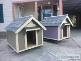 new dog houses