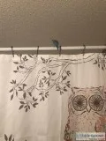 Parakeet