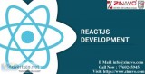Best React Js Development Services in Canada