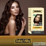 Buy Rich shiny Light Blonde Botanical Hair Color online