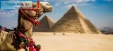Best Tours to Egypt from USA