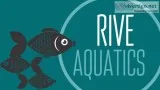 Freshwater Aquarium MaintenanceService