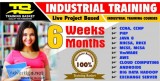 Industrial Training in Delhi Noida  6 Months Industrial Training