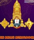Best Indian Vedic Astrologer in Montreal -  sribalajiastrologer.