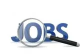 Urgently Required Candidates for online marketing work.