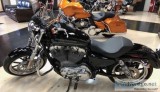 Flawless Harley 883 Sportster