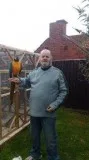Talented and well tamed Blue and Gold Macaws