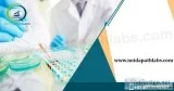 Noida Path Labs - Best Pathology In Noida
