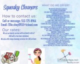 Squeaky Cleaners