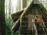 Treehouse building company