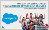 AlmaMate Salesforce Training