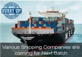 Best Merchant Navy Institute