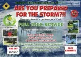 STORM CLEAN UP - TREE and DEBRIS REMOVAL SERVICE - WE DO IT ALL-