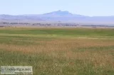 Country Farm For Sale