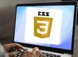 Interested in Best Wordpress Development Company in Delhi India