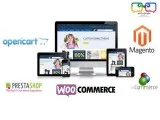 Top Ecommerce Website Development Company in Delhi  Add to Googl
