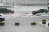Water Damage Repair Dormont