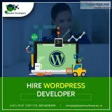 Alphabet Developers LLP - Hire Wordpress Developer in India
