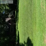AERATING AND SEEDING Yards Professional