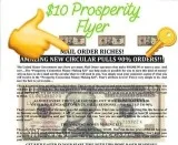10 Flyer Program Pays You Multple 10 Payments