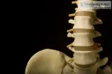 Contact chiropractors in Milton Keynes