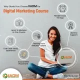 Digital Marketing Course in Delhi