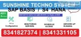 sunshine  best institute for SAP BASIS