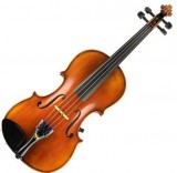 Learn How to Play the Violin
