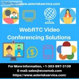 WebRTC Video Conference Development in Texas