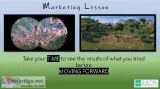 Marketing Lesson from Angry Birds