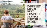 Free Pest Control in nyc - Get Fortified Maximum Protection -