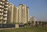 M3M My Den Sector-67 Gurgaon Golf Course Ext.Road 9711951794