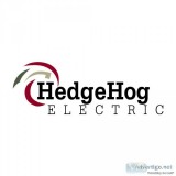 HedgeHog Electric