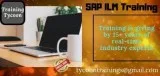 SAP ILM Training  SAP ILM Classroom Training in India - TT