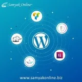 Integrating Wordpress AMP Plugin