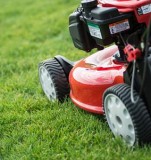 Affordable Lawn Care Services