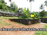 Cheruvakkal  residential house plot for sale