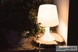 Barbados Table Lamp For sale At Best Prices