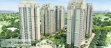 Live an ecstatic life in Ace Golfshire Noida Call 9250002253