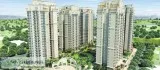 Live an ecstatic life in Ace Golfshire Noida Call 9250002253