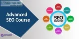 SEO Training in  India