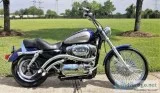 CUSTOM 2007 HARLEY SPORTSTER 1200