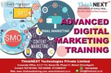 Digital Marketing Company in Chandigarh Mohali Panchkula-ThinkNE