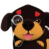 Looking for a Small Yorkipoo for my wife please help