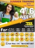 Best Summer Training In Noida  Training Basket  6 weeks Summer T