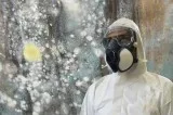 Mold Inspection Mold Removal Lake county and Cook County
